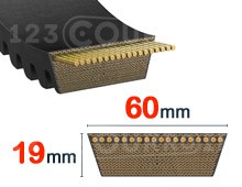 Nuestros modelos de 60 mm x 19 mm