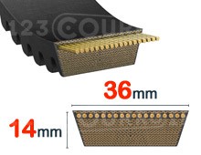 Nuestros modelos de 36 mm x 14 mm