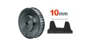 Dentada T10