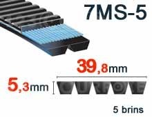Nuestros modelos de 39,8 mm x 5,3 mm - 7MS-5 (Poliuretano)