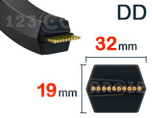 Nuestros modelos de Cinturón DD