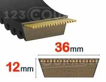 Nuestros modelos de Correa de transmisión 36x12