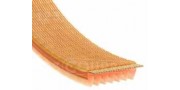 Correa Bancollan Poly-V (Bando)