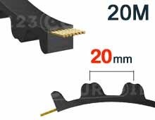 Nuestros modelos de Correa dentada 20M paso 20mm