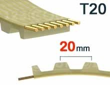 Nuestros modelos de Correa dentada T20, paso de 20 mm