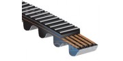 Cinturones Gates Polychain