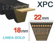 Nuestros modelos de 22mm x 18mm - XPC LinéaGold