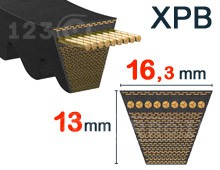 Nuestros modelos de 16,3mm x 13mm - XPB