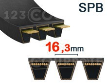 Nuestros modelos de 16,3mm x 13mm - SPB (Liso)