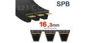 16,3mm x 13mm - SPB (Liso)