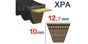 Dentada - XPA