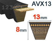 Nuestros modelos de Dentada - AVX13