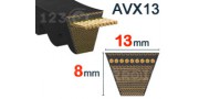 Dentada - AVX13