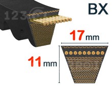 Nuestros modelos de Dentada - BX