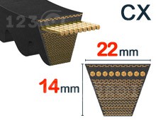 Nuestros modelos de Dentada - CX
