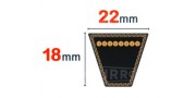 Correa trapezoidal 22x18