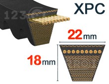 Nuestros modelos de Dentada - XPC