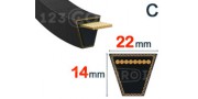 22mm x 14mm - C