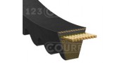 Correa sección AVX10, AVX13