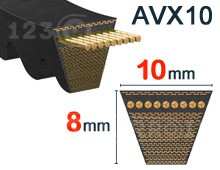 Nuestros modelos de Correa de un solo diente