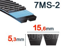Nuestros modelos de 15,6mm x 5,3mm - 7MS-2 (Poliuretano)