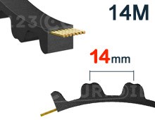 Nuestros modelos de Correa dentada 14M paso 14mm