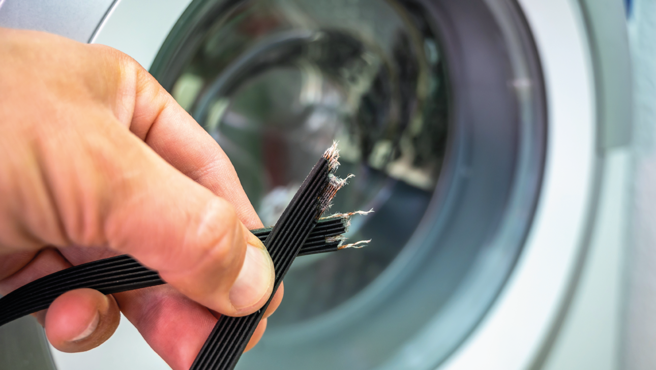 Descubra cómo sustituir fácilmente la correa de su secadora